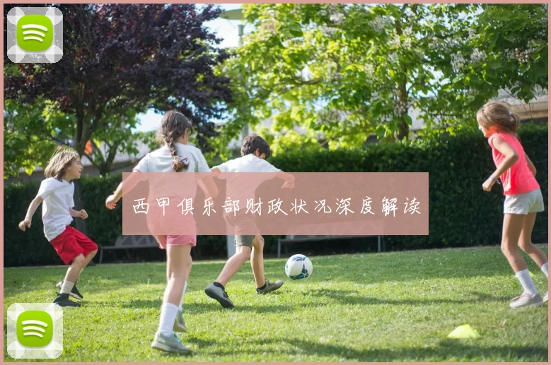 西甲俱乐部财政状况深度解读